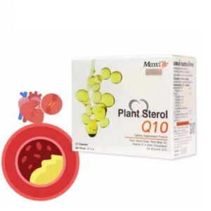Plant sterol Q10 supplementary