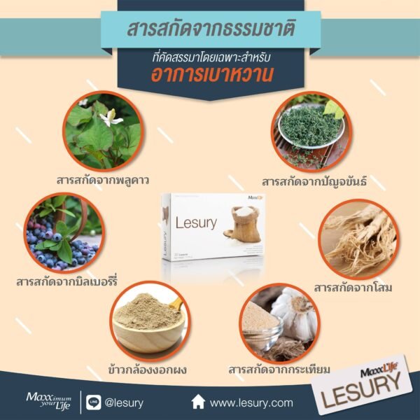 Lesury supplementary - Image 4