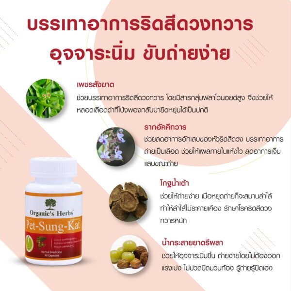 Organic's Herbs Pet-Sung-Kat for hemorrhoids. - Image 7