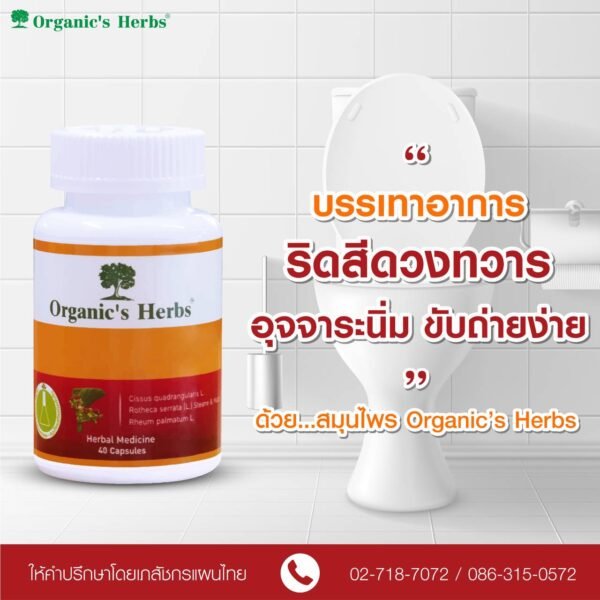 Organic's Herbs Pet-Sung-Kat for hemorrhoids. - Image 6