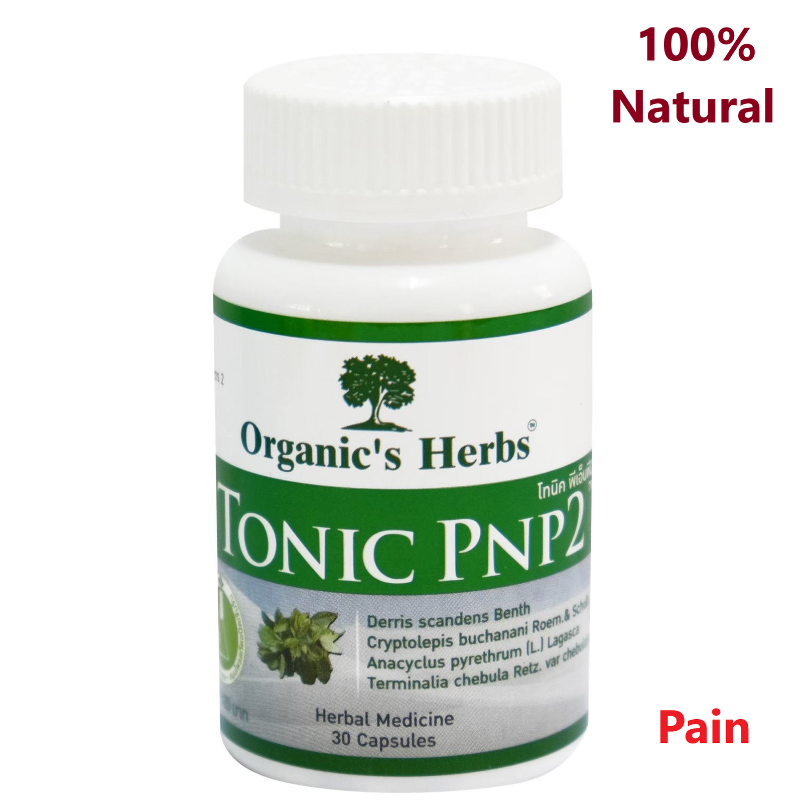 Organic's Herbs TONIC PNP2 Pain Relief, Anti-Inflammation, Muscle Relaxation Supplement