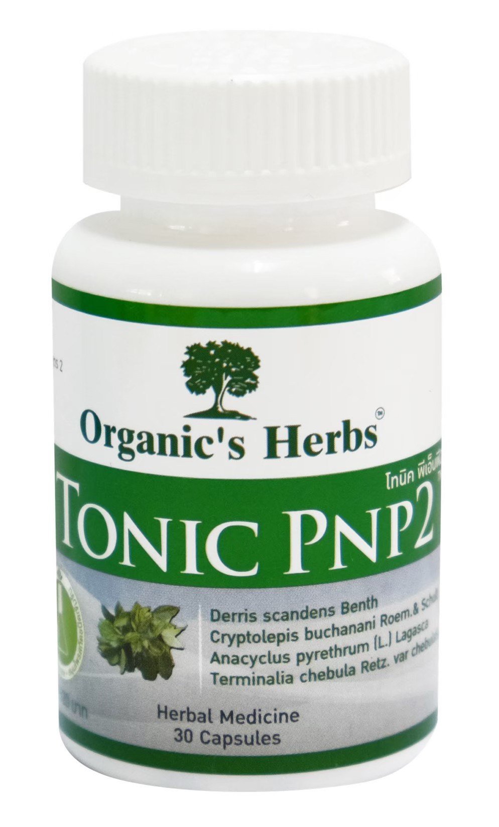 Organic's Herbs TONIC PNP2 Pain Relief, Anti-Inflammation, Muscle Relaxation Supplement - Image 4