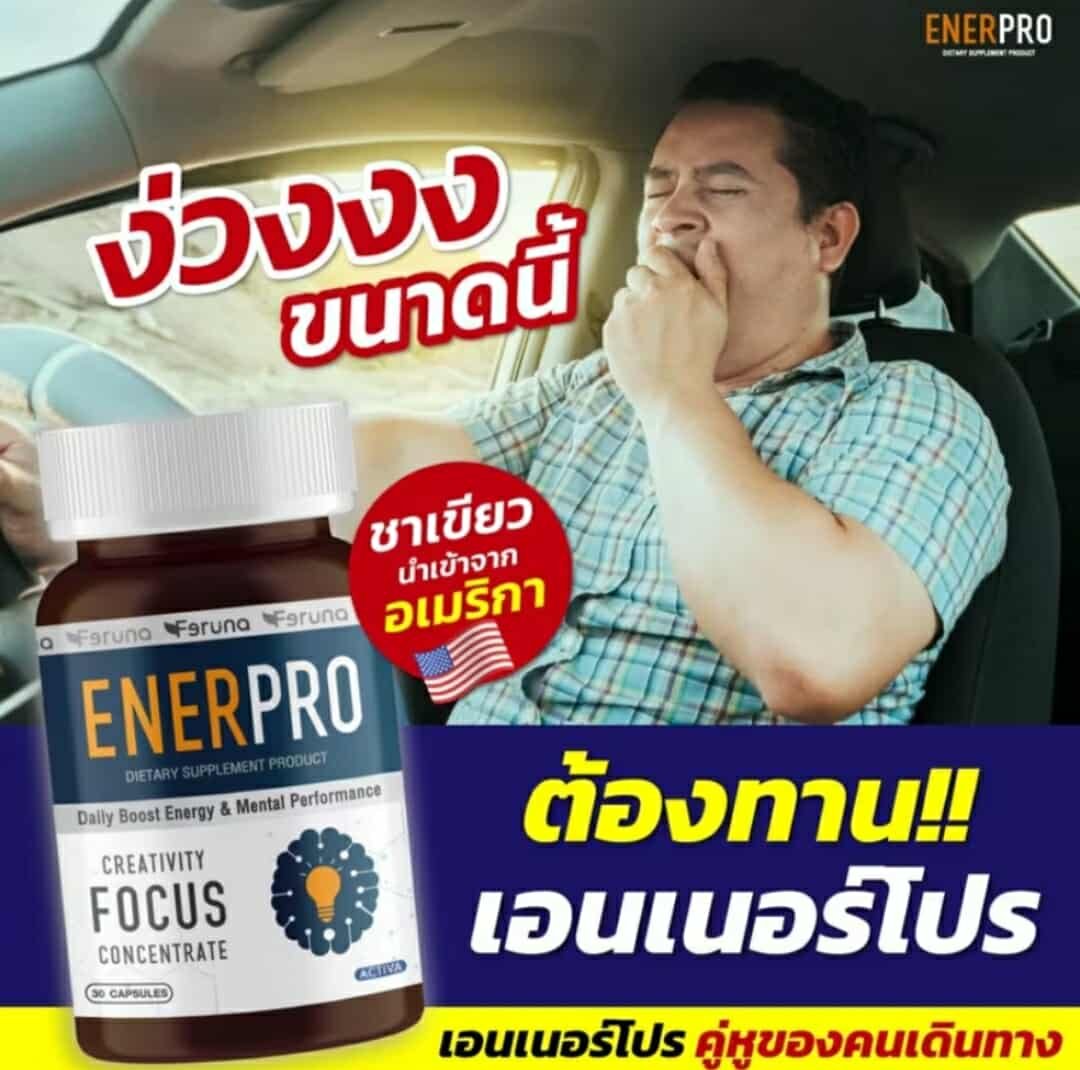 Enerpro supplementary for brain alert - Image 7