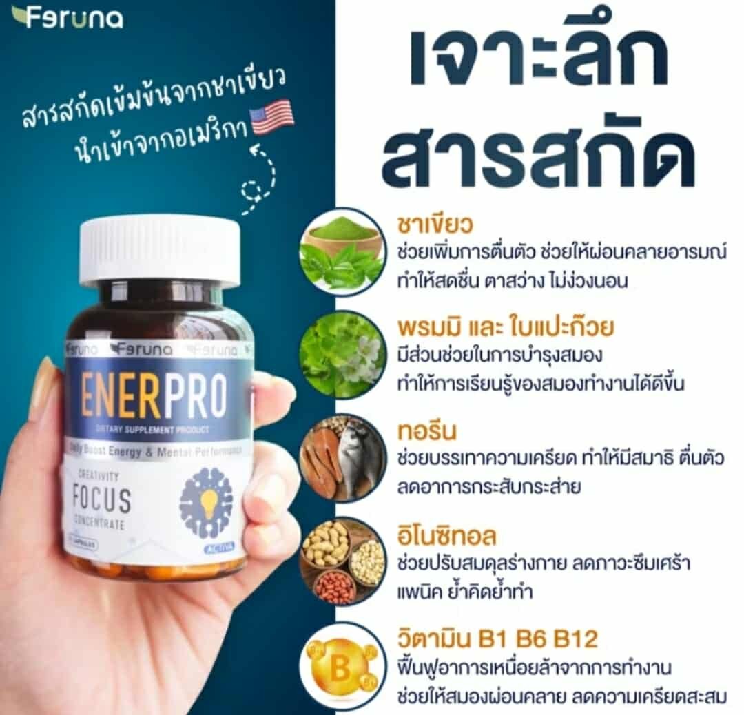 Enerpro supplementary for brain alert - Image 8