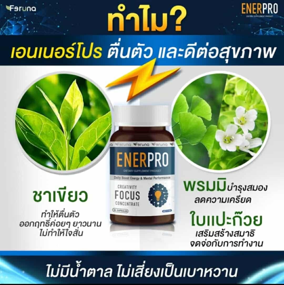 Enerpro supplementary for brain alert - Image 9