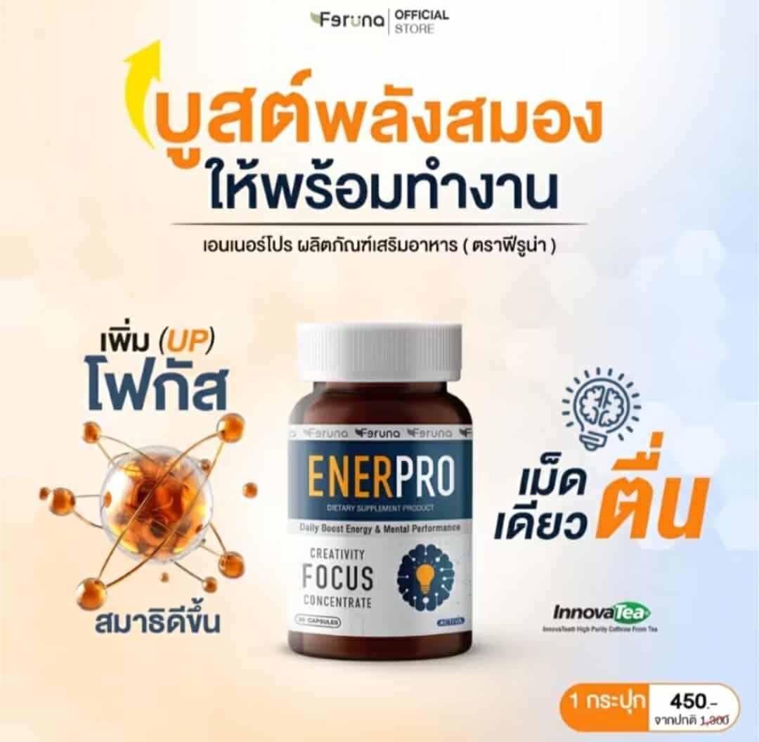 Enerpro supplementary for brain alert - Image 11